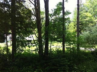 1149 GLAMOR LAKE RD, Gooderham, Ontario, Canada