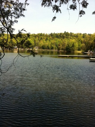 1022 MOOSE TRACK TRAIL, Minden, Ontario, Canada