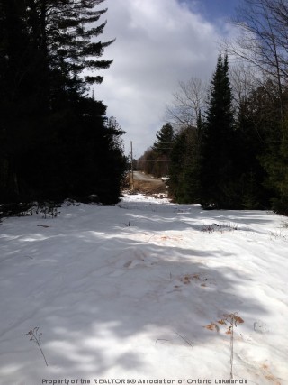 OPENED ROAD ALLOWANCE OFF OF INGOLDSBY RD, Minden, Ontario, Canada
