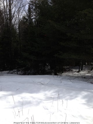 OPENED ROAD ALLOWANCE OFF OF INGOLDSBY RD, Minden, Ontario, Canada