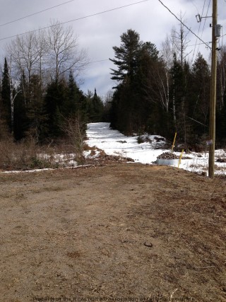 OPENED ROAD ALLOWANCE OFF OF INGOLDSBY RD, Minden, Ontario, Canada