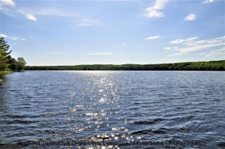 1252 NORTH SHORE RD, Algonquin Highlands, Ontario, Canada