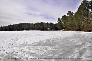 1252 NORTH SHORE RD, Algonquin Highlands, Ontario, Canada