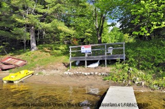 1252 NORTH SHORE RD, Algonquin Highlands, Ontario, Canada
