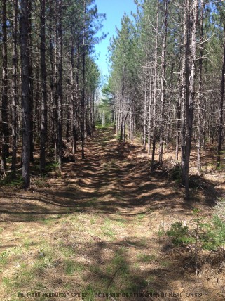 BARRY LINE, Algonquin Highlands, Ontario, Canada