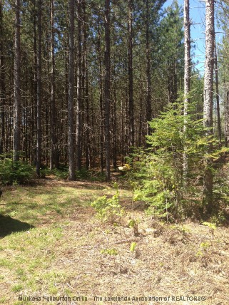 BARRY LINE, Algonquin Highlands, Ontario, Canada