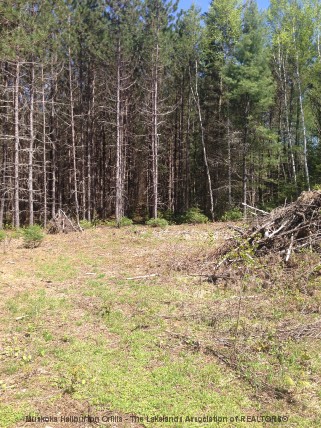BARRY LINE, Algonquin Highlands, Ontario, Canada