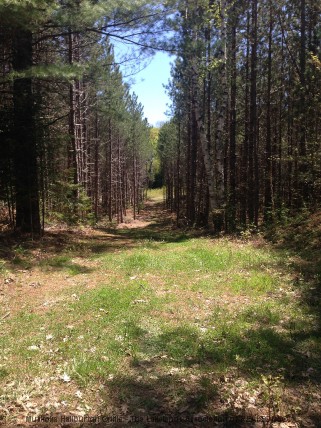 BARRY LINE, Algonquin Highlands, Ontario, Canada