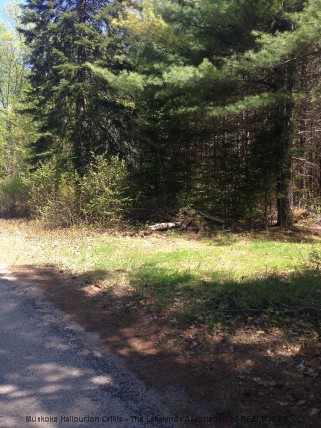 BARRY LINE, Algonquin Highlands, Ontario, Canada