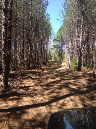BARRY LINE, Algonquin Highlands, Ontario, Canada