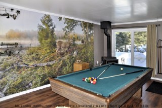 33 ORDE ST, Minden, Ontario, Canada
