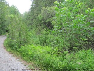 GLAMOR LAKE RD, Gooderham, Ontario, Canada