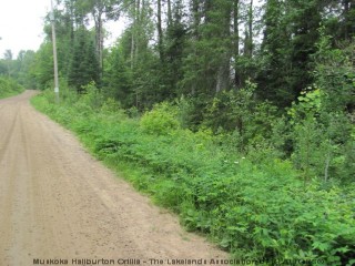 GLAMOR LAKE RD, Gooderham, Ontario, Canada