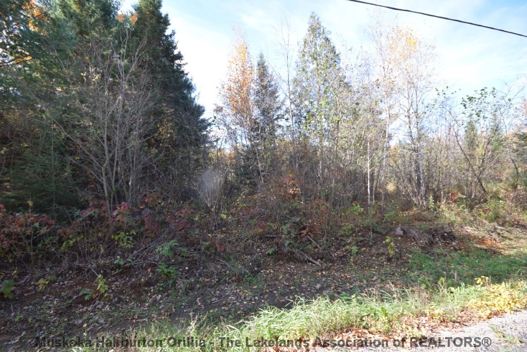 HUNTER CREEK RD, Minden, Ontario, Canada