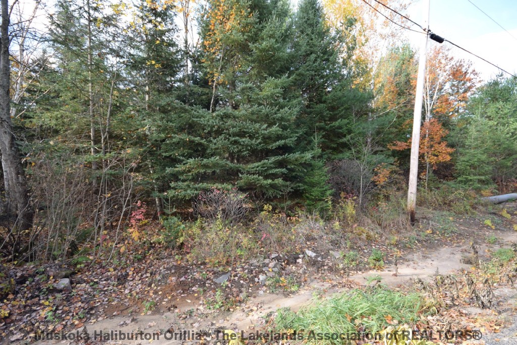 HUNTER CREEK RD, Minden, Ontario, Canada