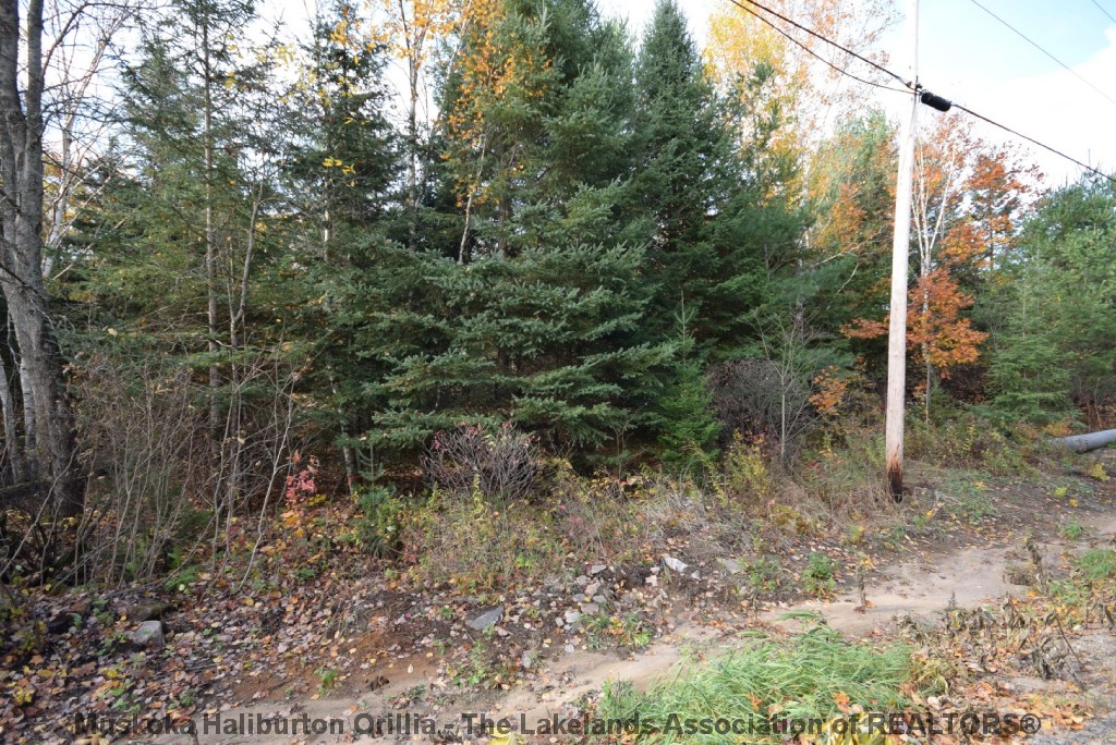 HUNTER CREEK RD, Minden, Ontario, Canada