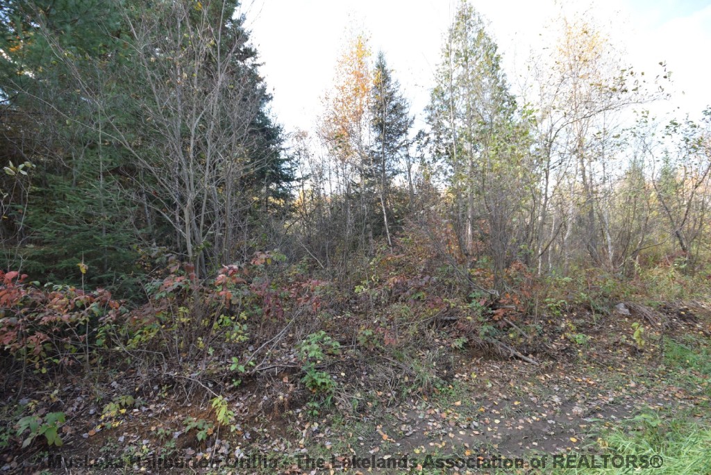 HUNTER CREEK RD, Minden, Ontario, Canada