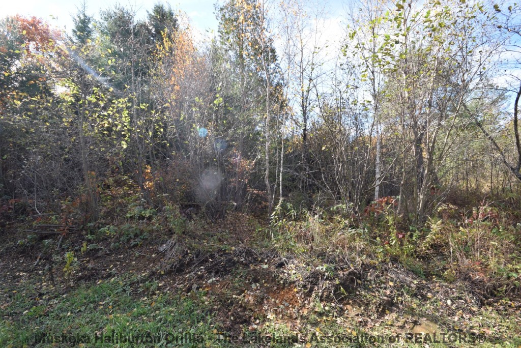 HUNTER CREEK RD, Minden, Ontario, Canada
