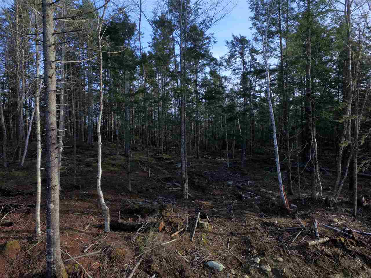 Lot 2 Forest Haven Drive, Italy Cross Nova Scotia, Canada
