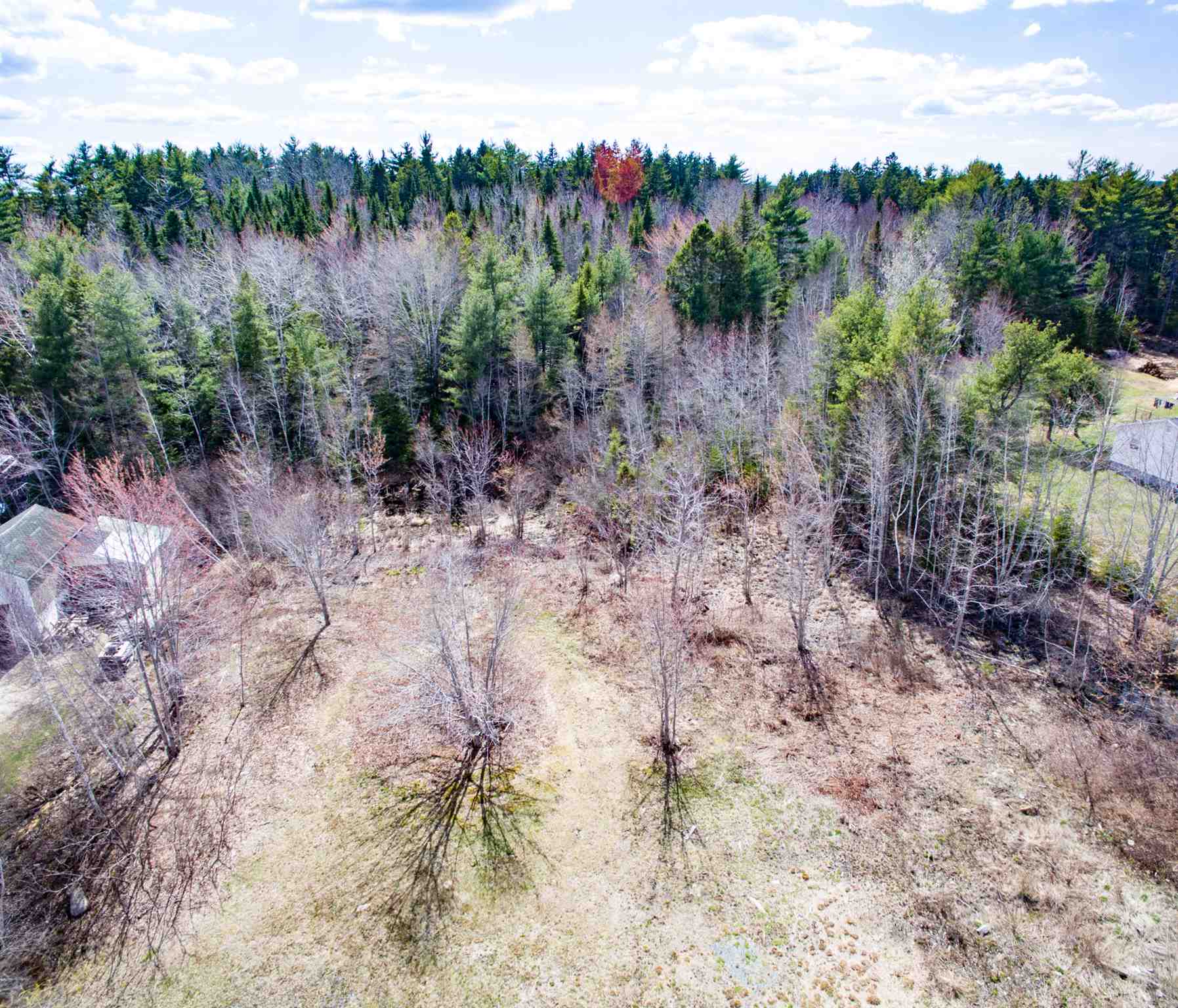 Lot Upper Branch Road, Midville Branch Nova Scotia, Canada