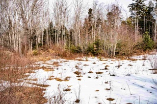 Lot 05-1 Deamond Crescent, Auburndale Nova Scotia, Canada