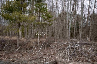 Lot 40 DeLong Lane, New Germany Nova Scotia, Canada