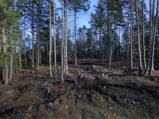 Lot 1 Forest Haven Drive, Italy Cross Nova Scotia, Canada