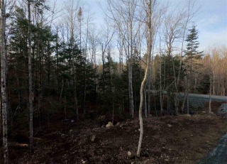 Lot 8 Forest Haven Drive, Italy Cross Nova Scotia, Canada