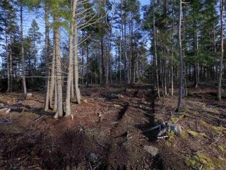 Lot 9 Forest Haven Drive, Italy Cross Nova Scotia, Canada