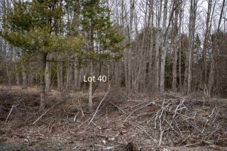 Lot 40 DeLong Lane, New Germany Nova Scotia, Canada