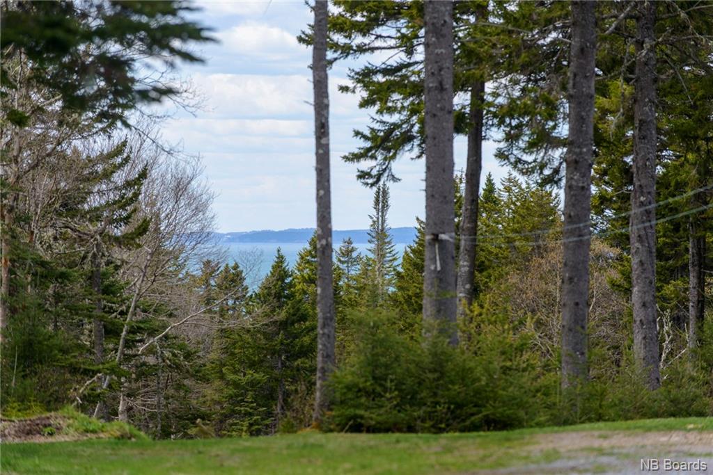 28 County Line Road, Maces Bay, New Brunswick, Canada