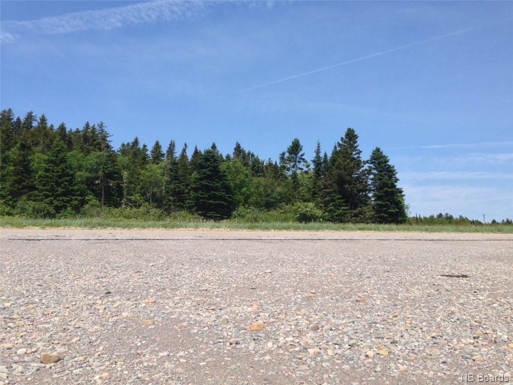 - Chance Harbour Road, Chance Harbour, New Brunswick, Canada