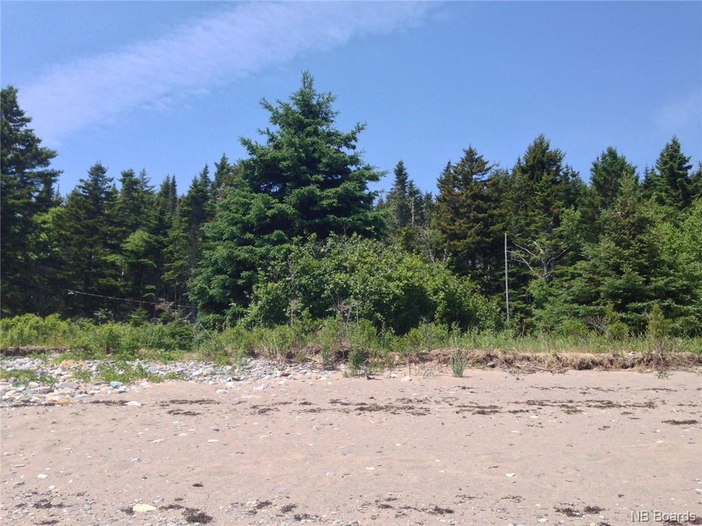 - Chance Harbour Road, Chance Harbour, New Brunswick, Canada