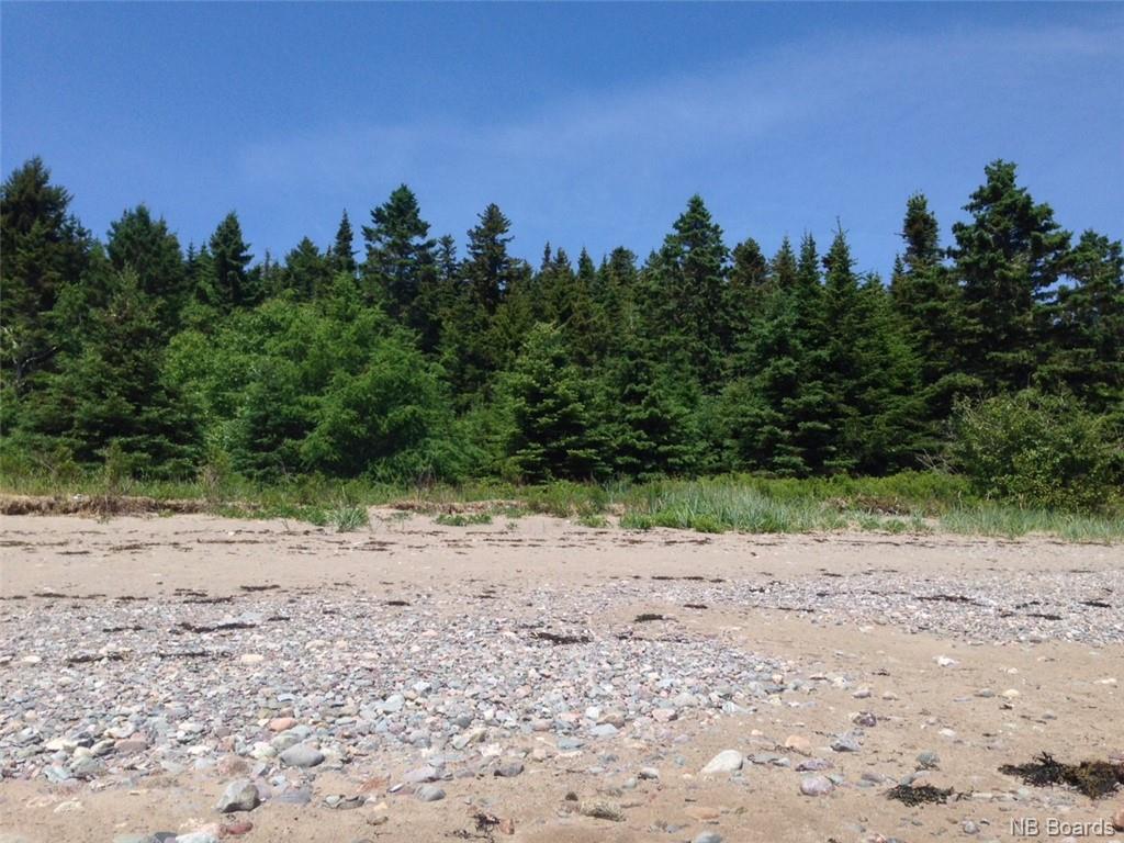 - Chance Harbour Road, Chance Harbour, New Brunswick, Canada