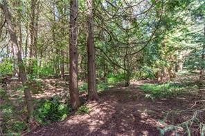 6 Mill Pond Court, Brighton, Canada