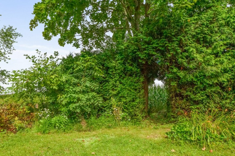 137 Lawson Road, Brighton, Canada photo 38