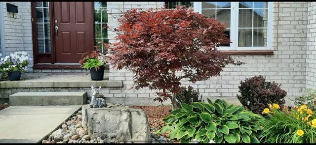 111 Bridlepath Trail, Sarnia, Ontario, Canada photo 39
