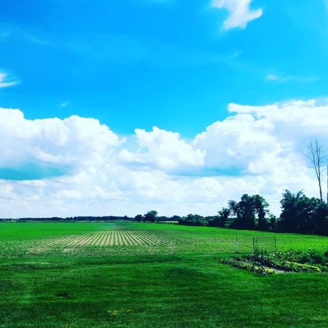 3753 QUEEN Street, Plympton-Wyoming Ontario, Canada