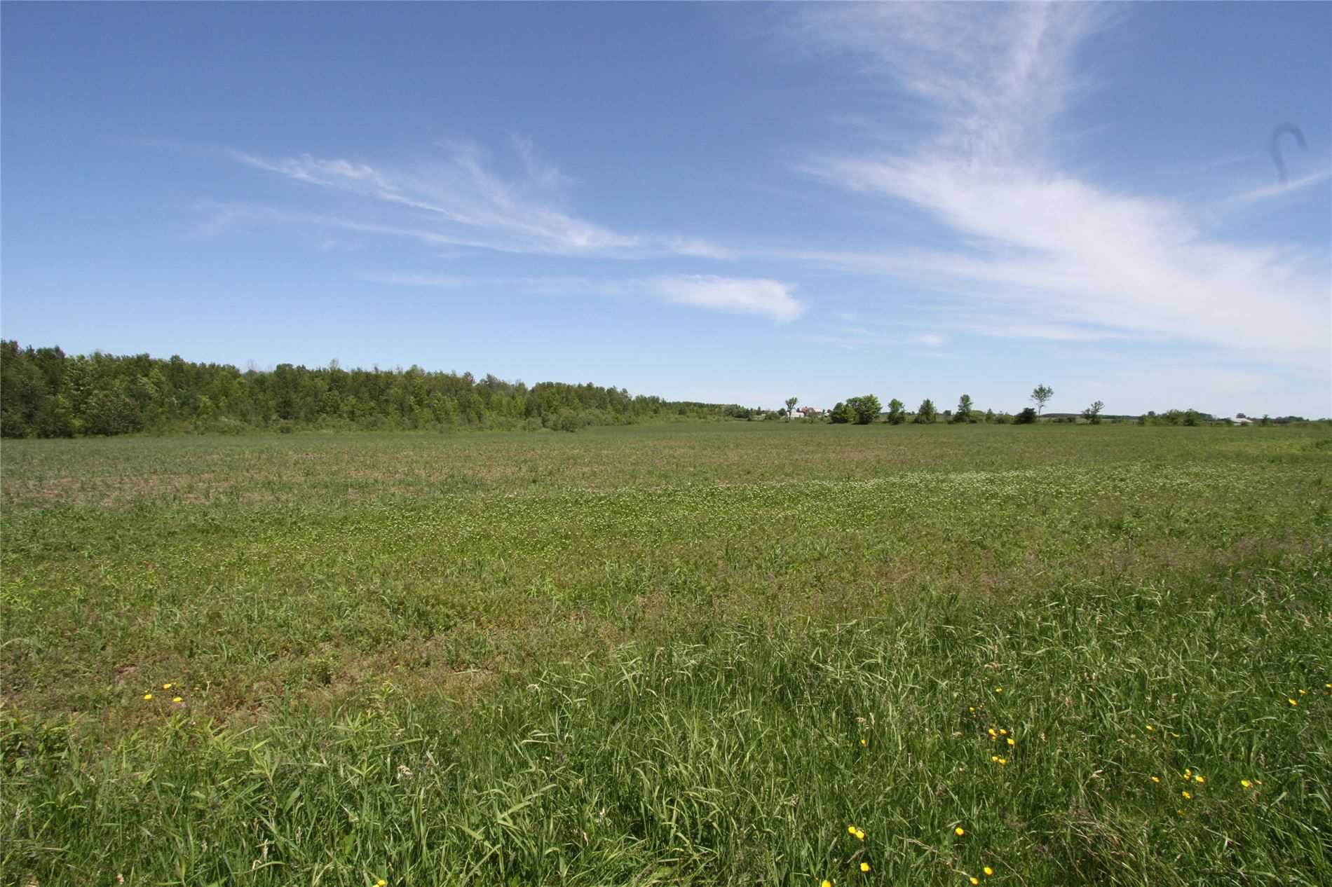 Lt 17 Centennial Park Rd, Kawartha Lakes Ontario, Canada
