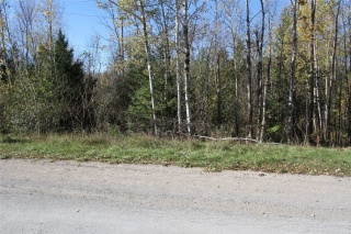 Lt 48 Centennial Park Rd, Kawartha Lakes Ontario, Canada