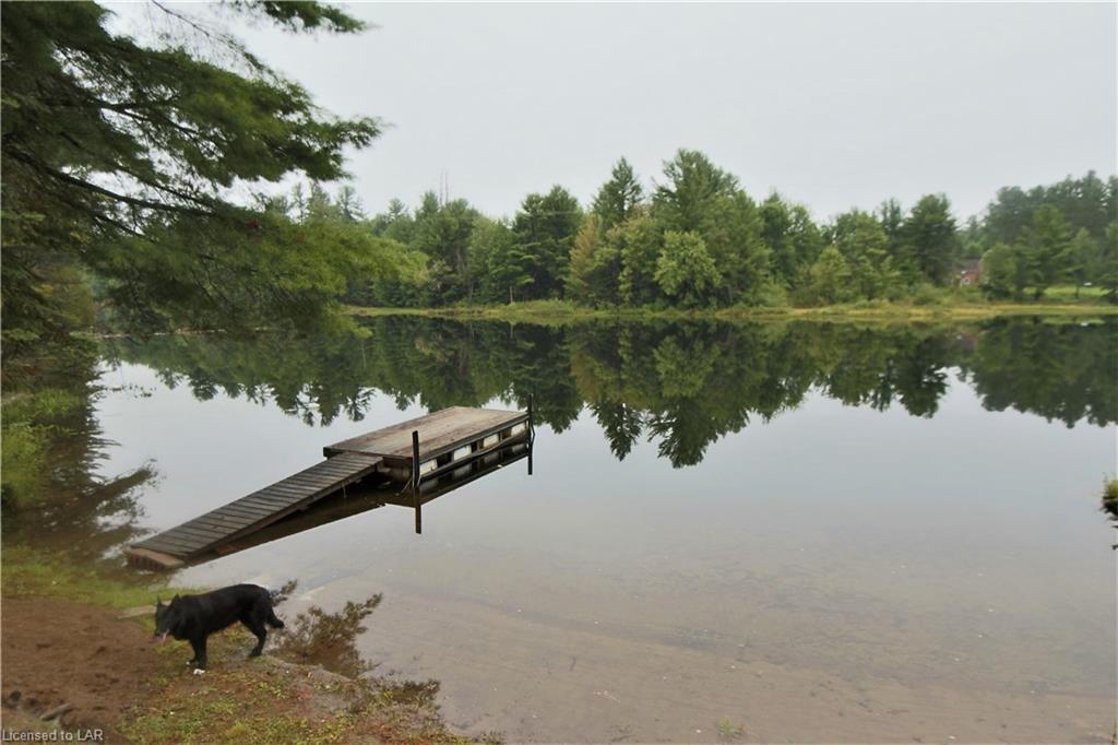 1331-1 HIGHWAY 118 E Highway, Bracebridge Ontario, Canada