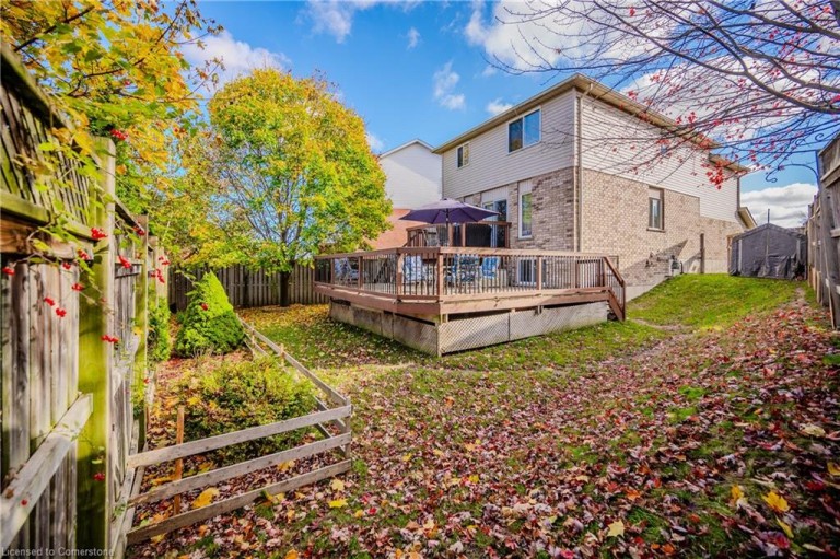 19 Doll Court, Kitchener, Ontario, Canada photo 3