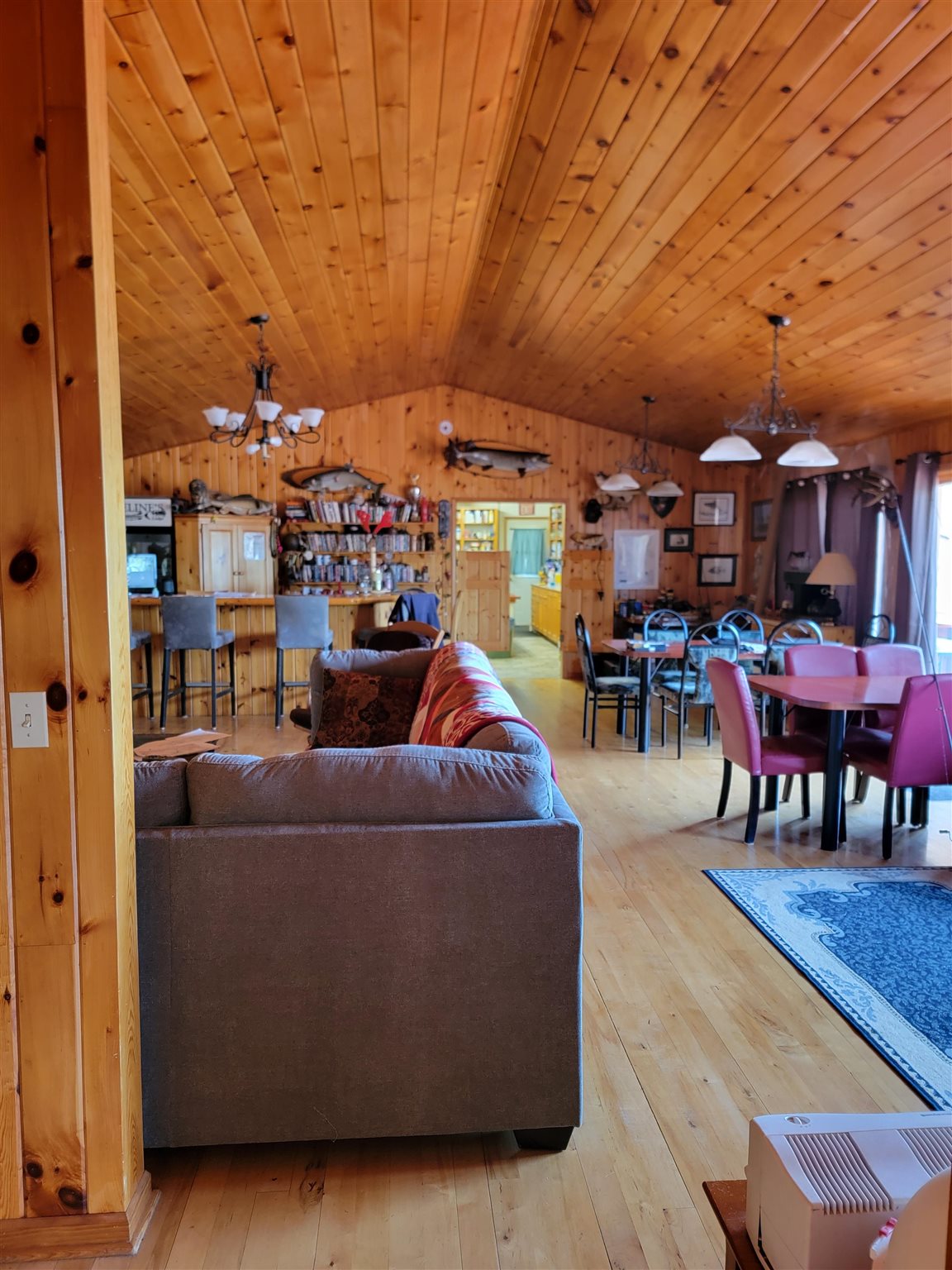 20 Dock Rd N, Nestor Falls, Ontario, Canada photo 3
