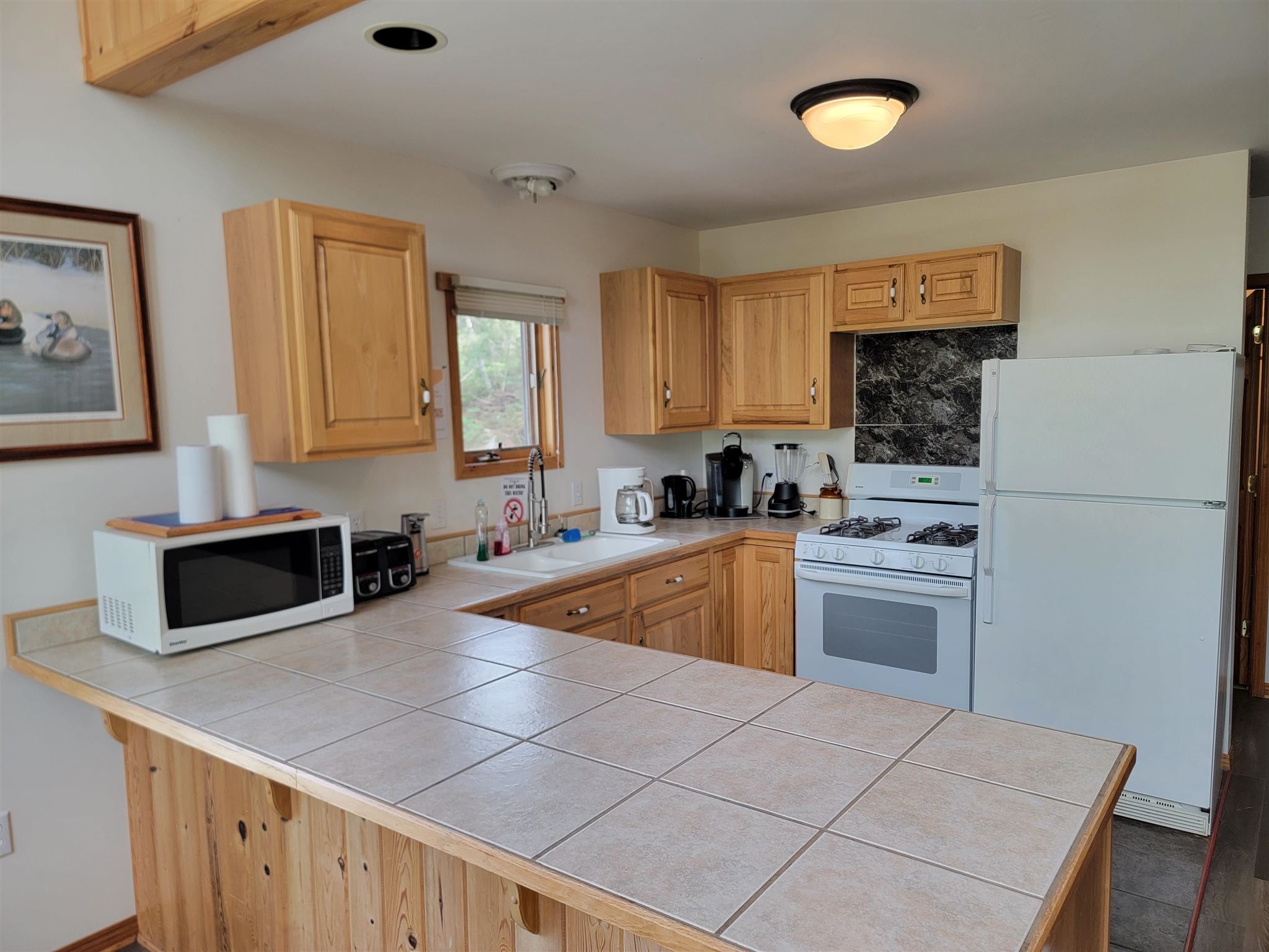 20 Dock Rd N, Nestor Falls, Ontario, Canada photo 15