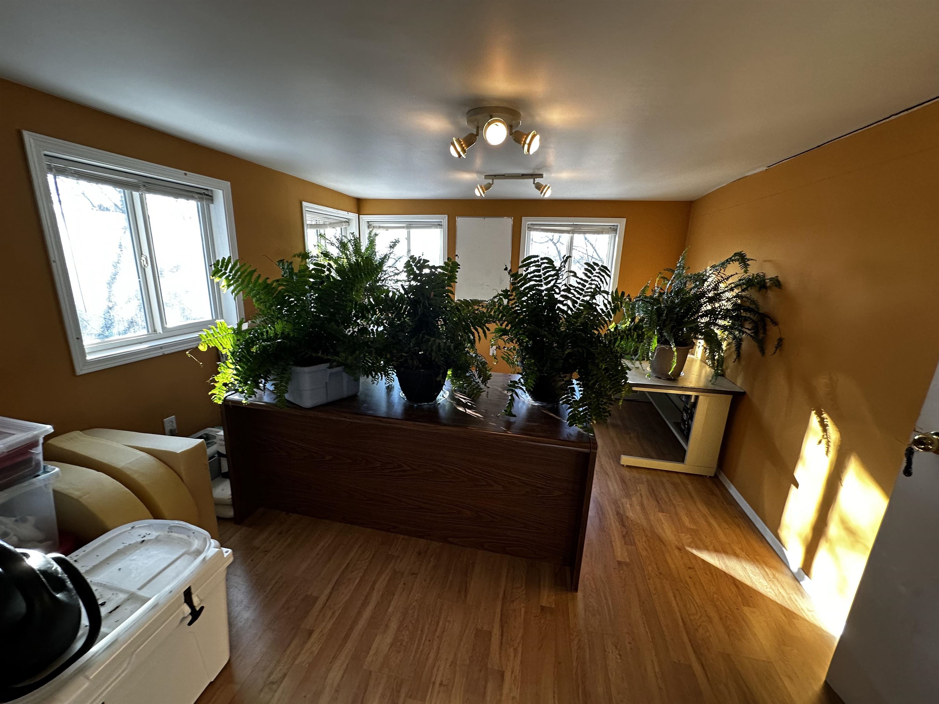 481 Lakeview Drive, Kenora, Ontario, Canada photo 32