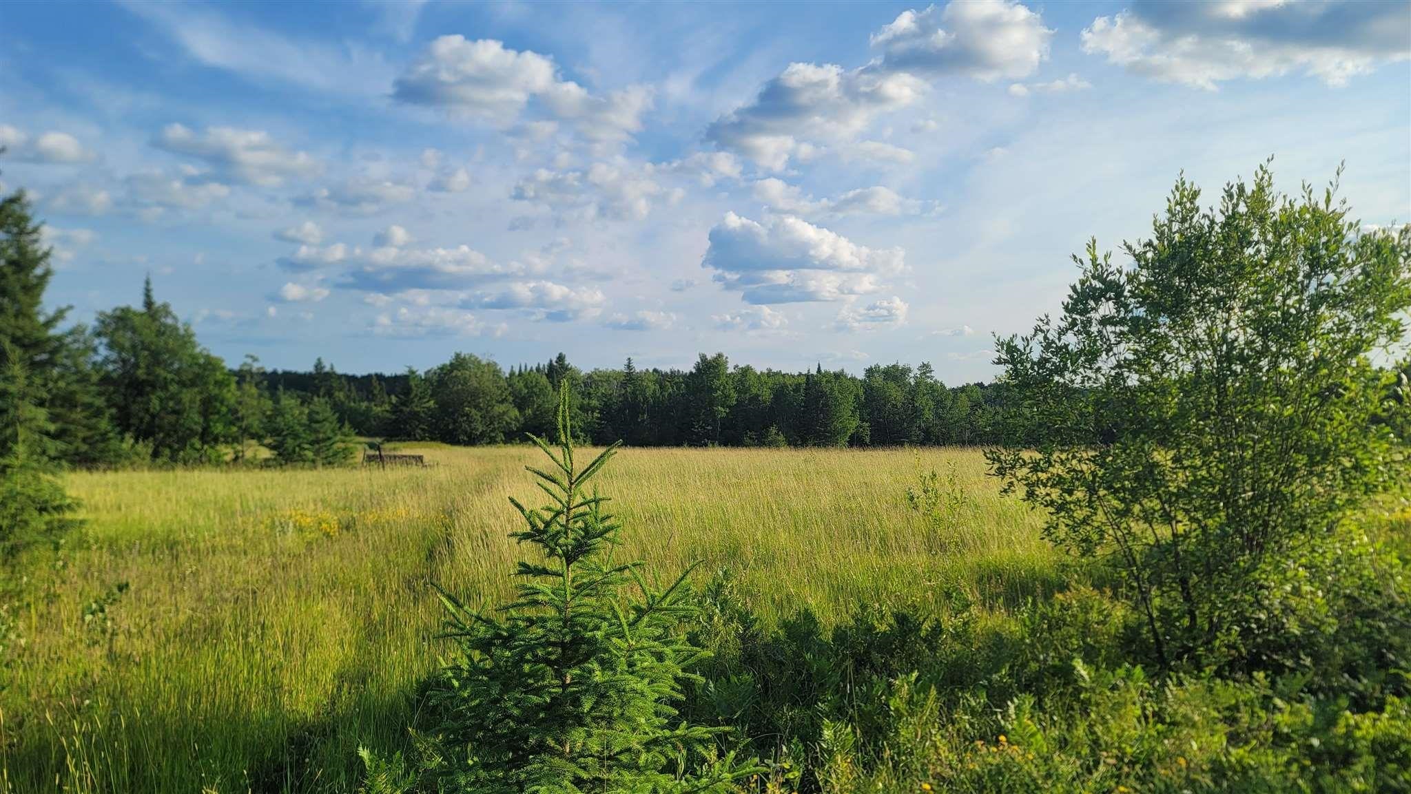 Ascough Road, Kenora, Ontario, Canada photo 2