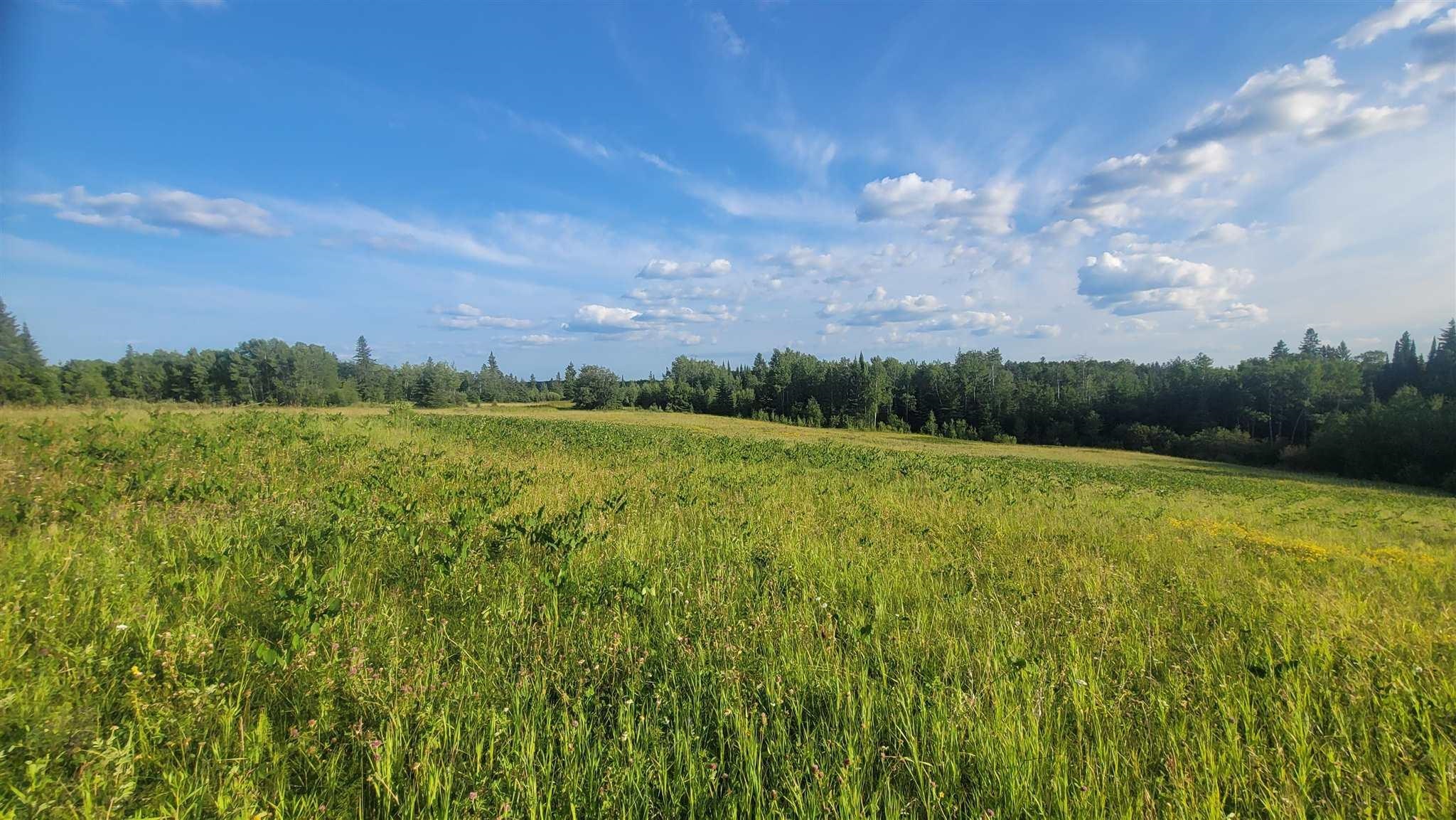 Ascough Road, Kenora, Ontario, Canada photo 4