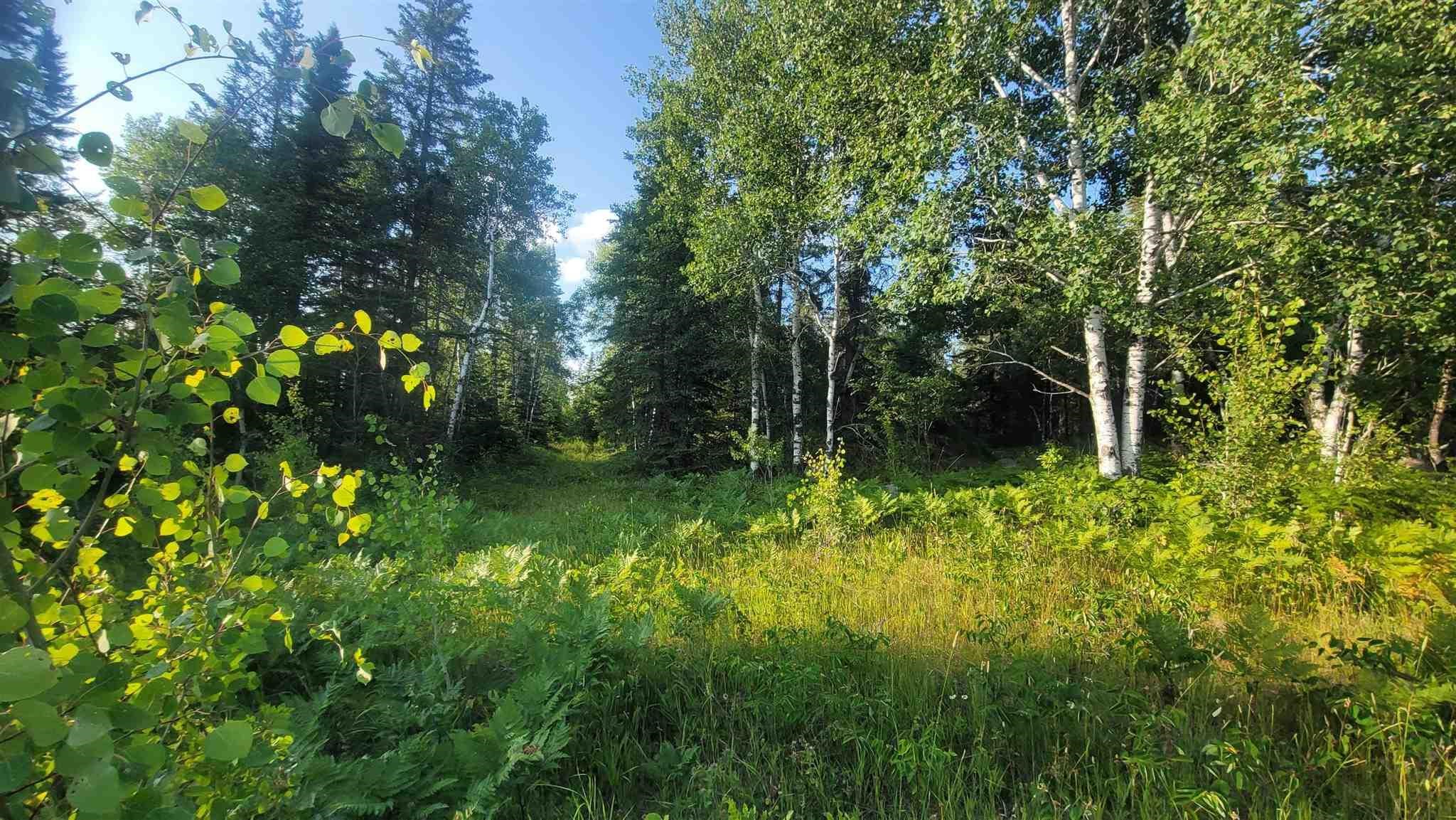 Ascough Road, Kenora, Ontario, Canada photo 7