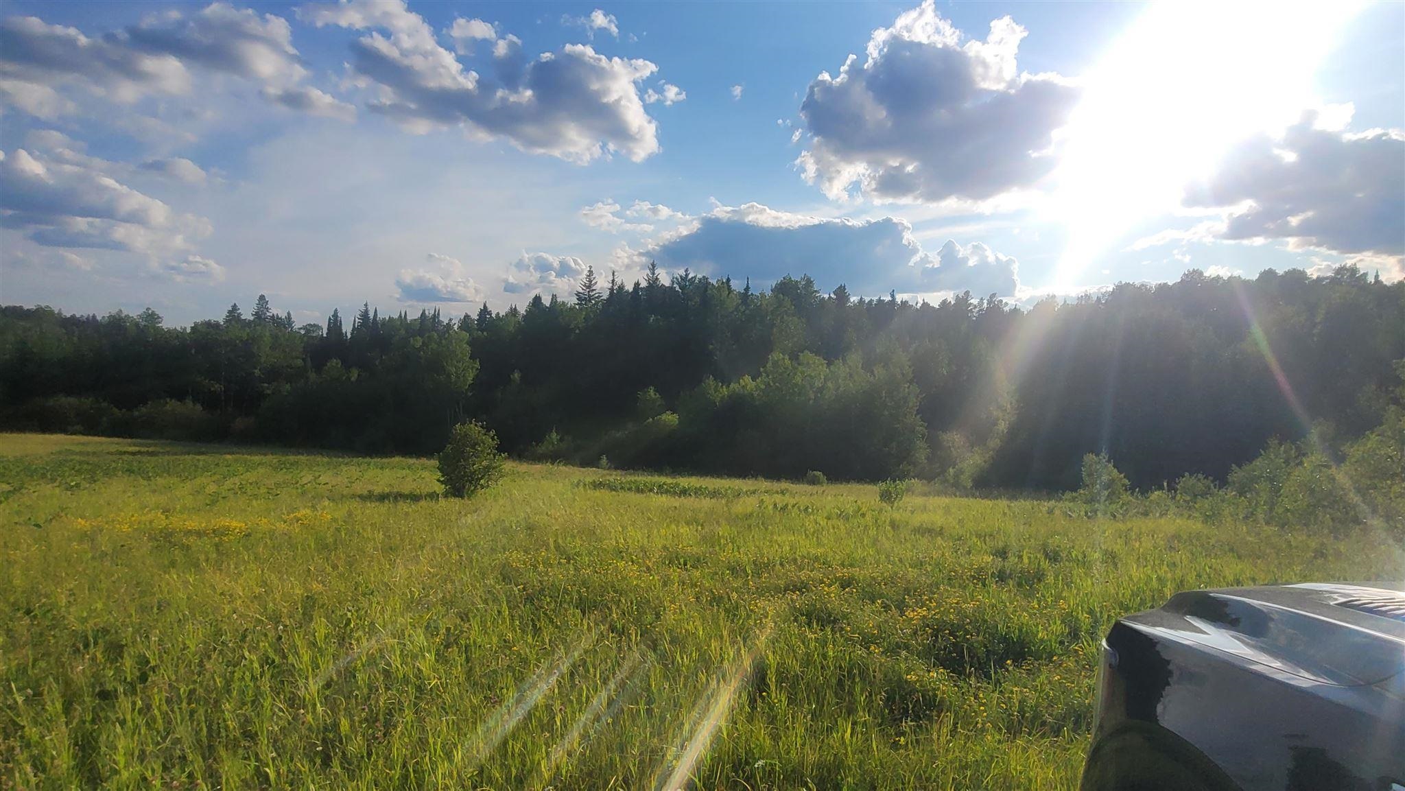 Ascough Road, Kenora, Ontario, Canada photo 10