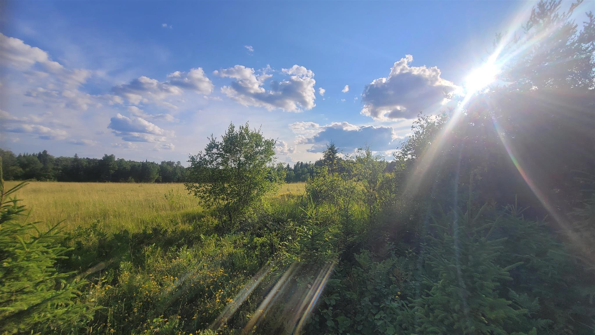 Ascough Road, Kenora, Ontario, Canada photo 11